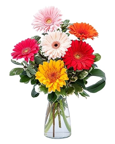Flower Delivery Springfield MO Flower delivery in Springfield