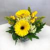Florist Cincinnati OH - Flower Delivery in Cincinna...