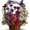 Fresh Flower Delivery Cinci... - Flower Delivery in Cincinna...