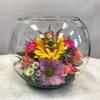 Send Flowers Cincinnati OH - Flower Delivery in Cincinna...