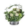 Flower Delivery Thomasville GA - Flower Delivery in Thomasvi...
