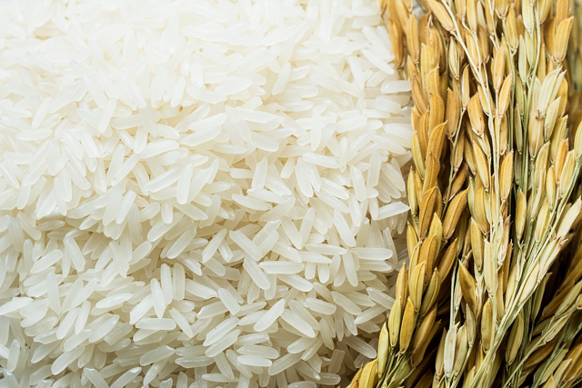 Basmati-rice Basmati Rice