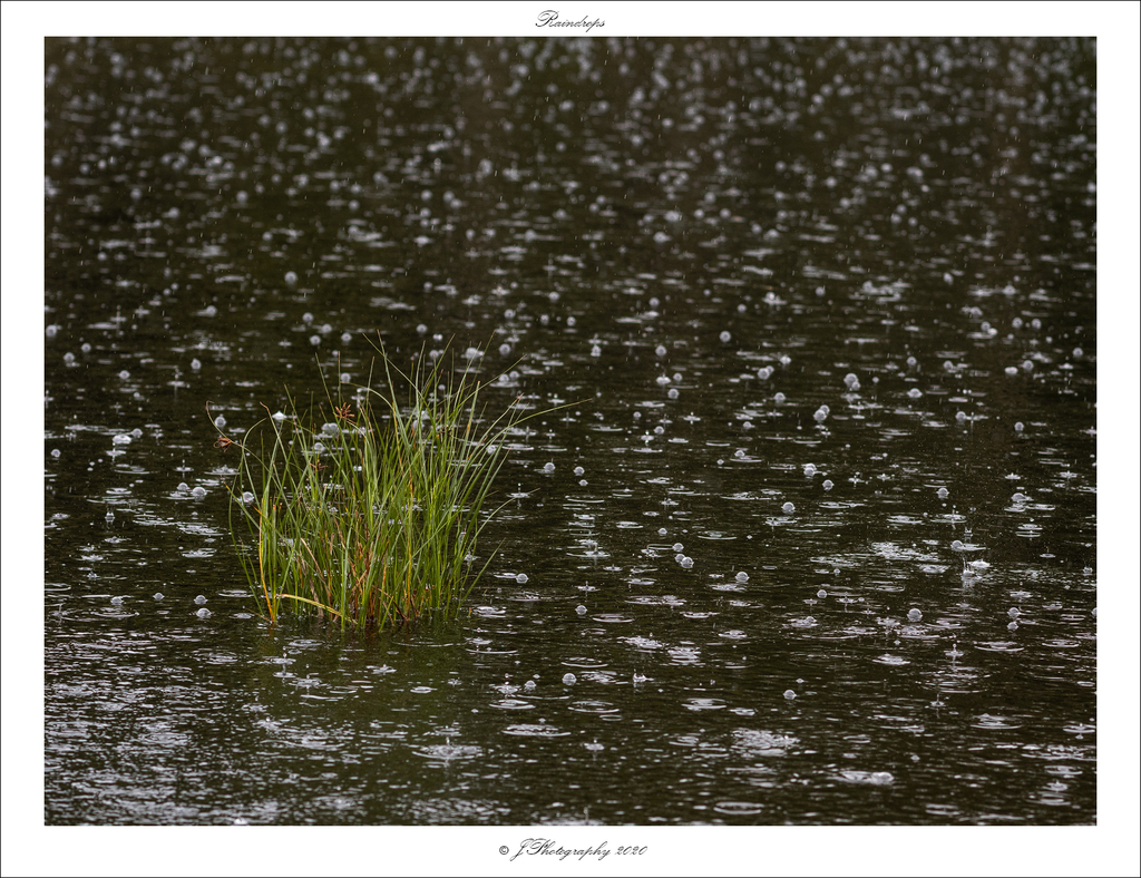  DSC0489 Raindrops verkl - 