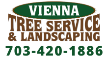 Stump Removal Vienna VA Tree Trimming Vienna VA