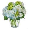 Get Flowers Delivered Westo... - Flower delivery in Weston, OH