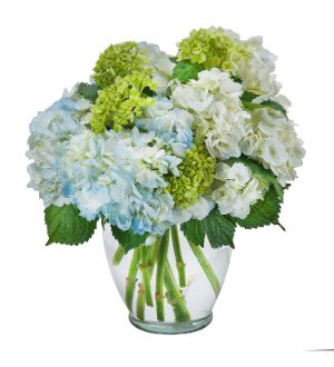 Get Flowers Delivered Weston OH Flower delivery in Weston, OH