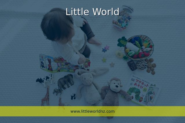 Little World Picture Box