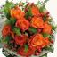 Flower Bouquet Delivery Ott... - Florist in Ottawa, ON