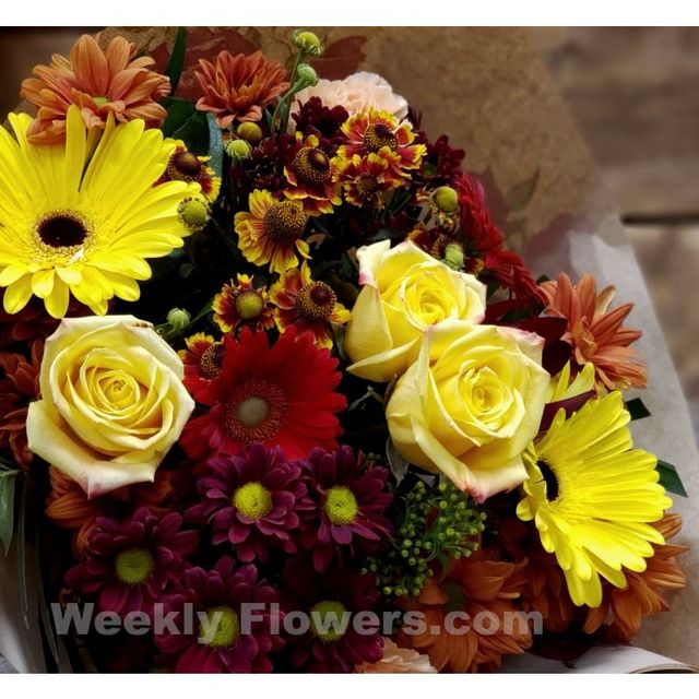 Get Flowers Delivered Ottawa ON Florist in Ottawa, ON
