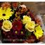 Get Flowers Delivered Ottaw... - Florist in Ottawa, ON