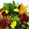 Next Day Delivery Flowers O... - Florist in Ottawa, ON