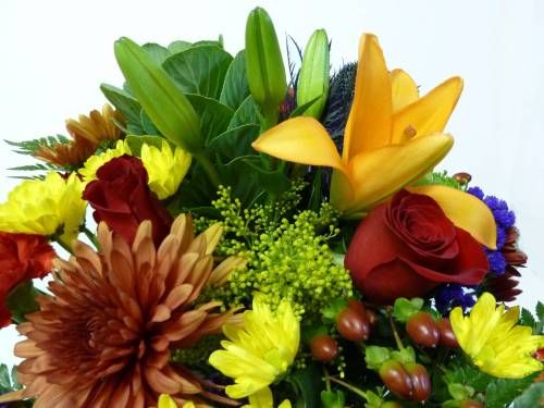 Next Day Delivery Flowers Ottawa ON Florist in Ottawa, ON