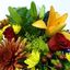 Next Day Delivery Flowers O... - Florist in Ottawa, ON