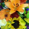 Send Flowers Ottawa ON - Florist in Ottawa, ON