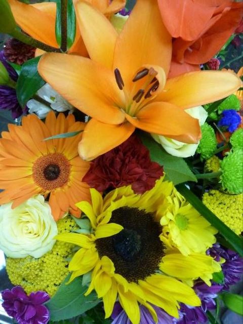 Send Flowers Ottawa ON Florist in Ottawa, ON