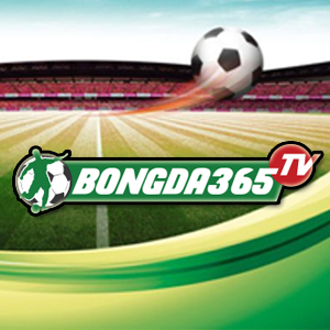 logo365 Bingda365tv