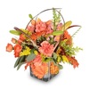 Buy Flowers Gillette WY - Florist in Gillette, WY