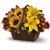 Same Day Flower Delivery Gi... - Florist in Gillette, WY