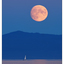 Harvest Moon 2020 2 - Vancouver Island