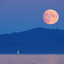 Harvest Moon 2020 1 - Vancouver Island