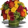 Send Flowers Minneapolis MN - Flower Delivery in Minneapo...