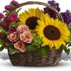 Buy Flowers Minneapolis MN - Flower Delivery in Minneapo...