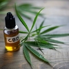 https://supplements4fitness.com/kirk-cameron-cbd-oil/