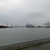 IMG 9860 - Rotterdam