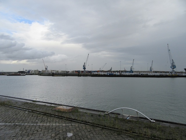 IMG 9862 Rotterdam