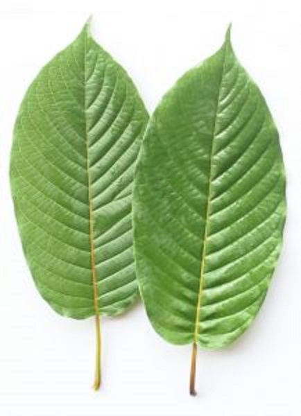 Kratom for sale online Picture Box