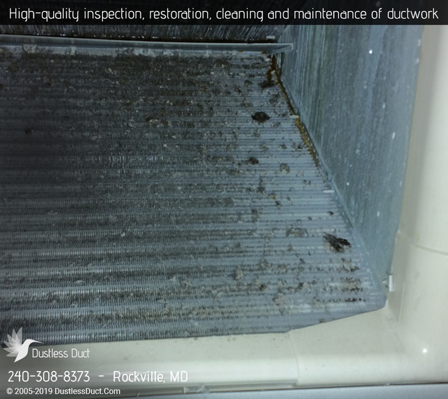 Dustless Duct | Air Duct Cleaning Rockville Dustless Duct | Air Duct Cleaning Rockville