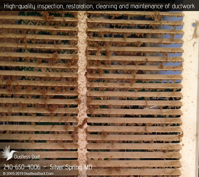 Dustless Duct | Air Duct Cleaning Silver Spring Dustless Duct | Air Duct Cleaning Silver Spring