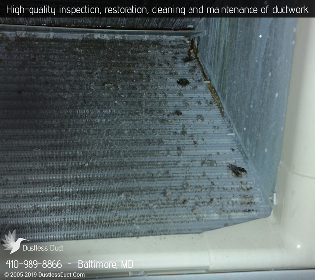 Dustless Duct | Duct Cleaning Services Baltimore Dustless Duct | Duct Cleaning Services Baltimore
