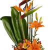 Flower Shop Baltimore MD - Flower Delivery in Baltimor...