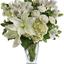 Fresh Flower Delivery Balti... - Flower Delivery in Baltimore, MD