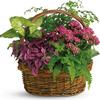 Mothers Day Flowers Baltimo... - Flower Delivery in Baltimor...