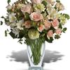 Send Flowers Baltimore MD - Flower Delivery in Baltimor...