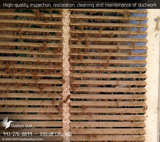 Dustless Duct | Air Duct Cleaning Ellicott City Dustless Duct | Air Duct Cleaning Ellicott City