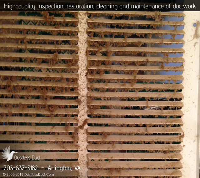 Dustless Duct | Duct Cleaning Services Arlington Dustless Duct | Duct Cleaning Services Arlington