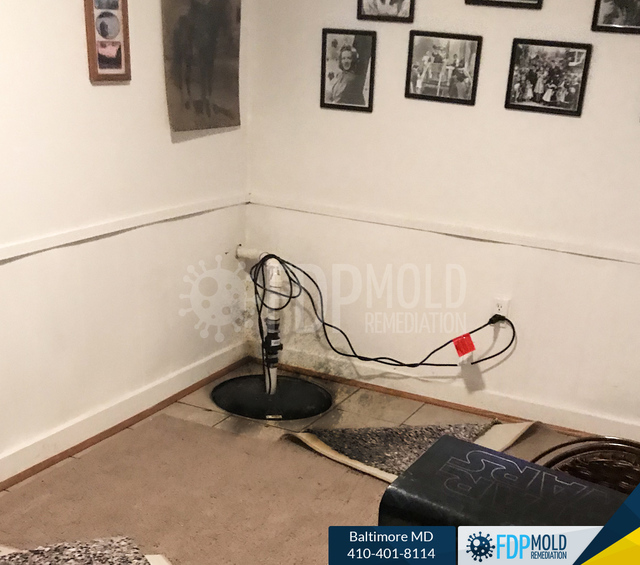 FDP Mold Remediation | Mold Removal Baltimore FDP Mold Remediation | Mold Remediation Baltimore