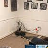 FDP Mold Remediation | Mold Inspection Baltimore