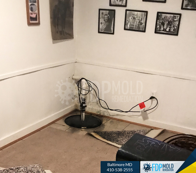 FDP Mold Remediation | Mold Inspection Baltimore FDP Mold Remediation | Mold Inspection Baltimore