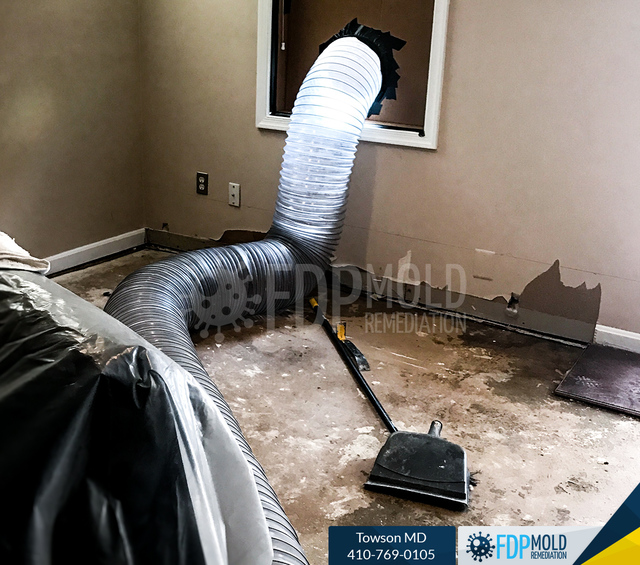 FDP Mold Remediation | Mold Removal Towson FDP Mold Remediation | Mold Removal Towson