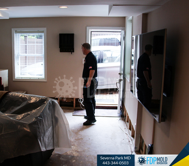 FDP Mold Remediation | Mold Remediation Severna Pa FDP Mold Remediation | Mold Removal Severna Park