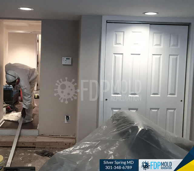 FDP Mold Remediation | Mold Removal Silver Spring FDP Mold Remediation | Mold Removal Silver Spring