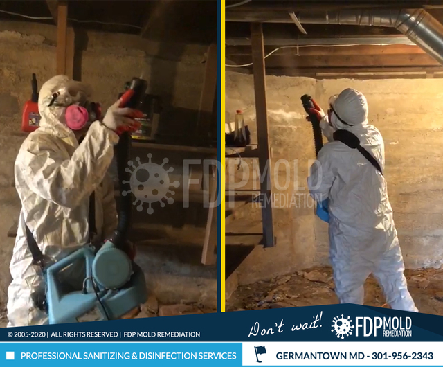 FDP Mold Remediation | Mold Remediation Germantown FDP Mold Remediation | Mold Remediation Germantown