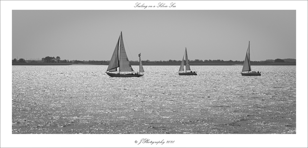  DSC0361 Sailing on a silver sea - 