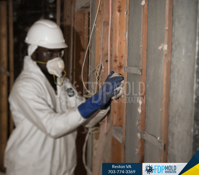 FDP Mold Remediation | Mold Removal Reston FDP Mold Remediation | Mold Remediation Reston