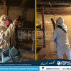 FDP Mold Remediation | Mold... - FDP Mold Remediation | Mold...