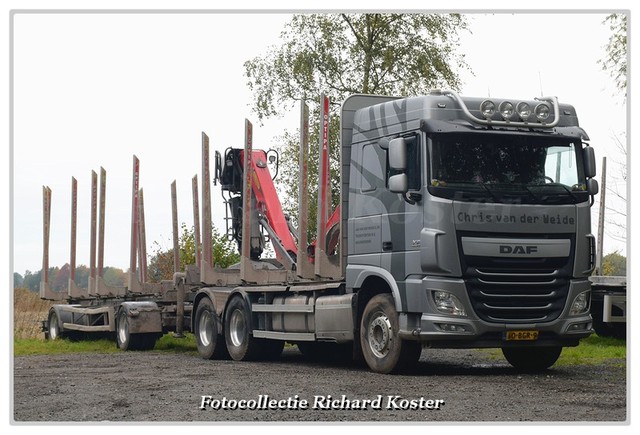 Weide & zn., Jan van der 60-BGR-9 (4)-BorderMaker Richard